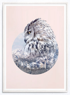 Faunascapes Geometric Art Print Owl