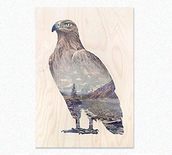 Faunascapes Plywood Print Brown Eagle