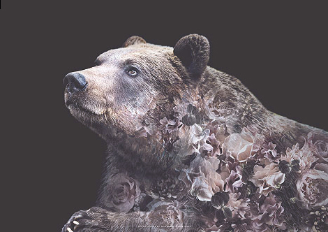 Faunascapes Flower Portrait Grizzly Bear