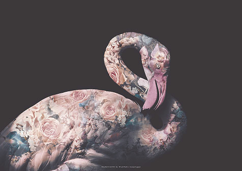 Faunascapes Pink Flamingo Flower Portrait Art Print