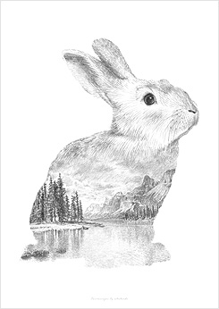 Faunascapes Pencil Drawing Rabbit